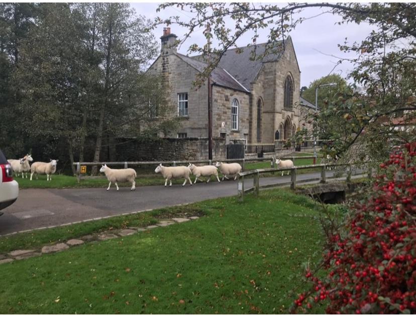 Floyter House North Yorkshire Moors National Park Bed & Breakfast Danby Exterior photo